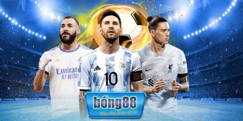 Tổng quan về bong88